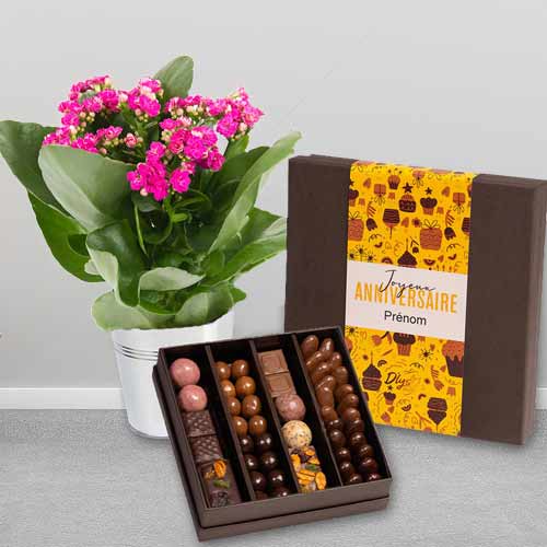 Kalanchoe Flowers In Pot And Chocolates-Flowers Get Well Soon Delivery