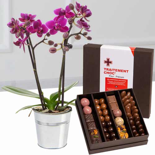 2 Stem Orchids And Chocolate-Send A Plant For Birthday