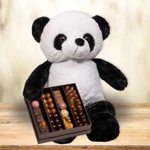 Giant Panda And Chocolates