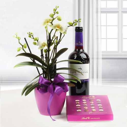 Orchid Flower Gift With Sweets And Wine-Gift Basket For Sister In Law