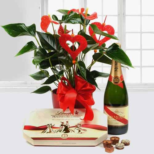 Anthurium Plant With Champagne And Chocolate-Christmas Gift Basket Ideas For Sister