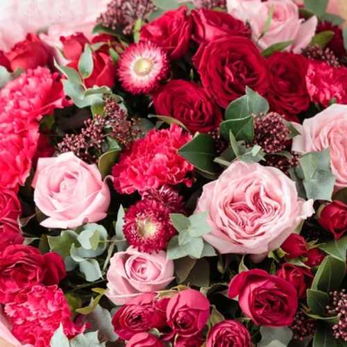 - Best Flowers For Birthday