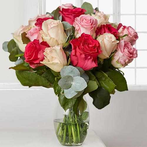 
        [hplImageResource]