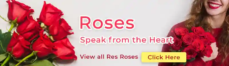 Send Roses Arrangements to France