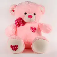 Teddy Gifts